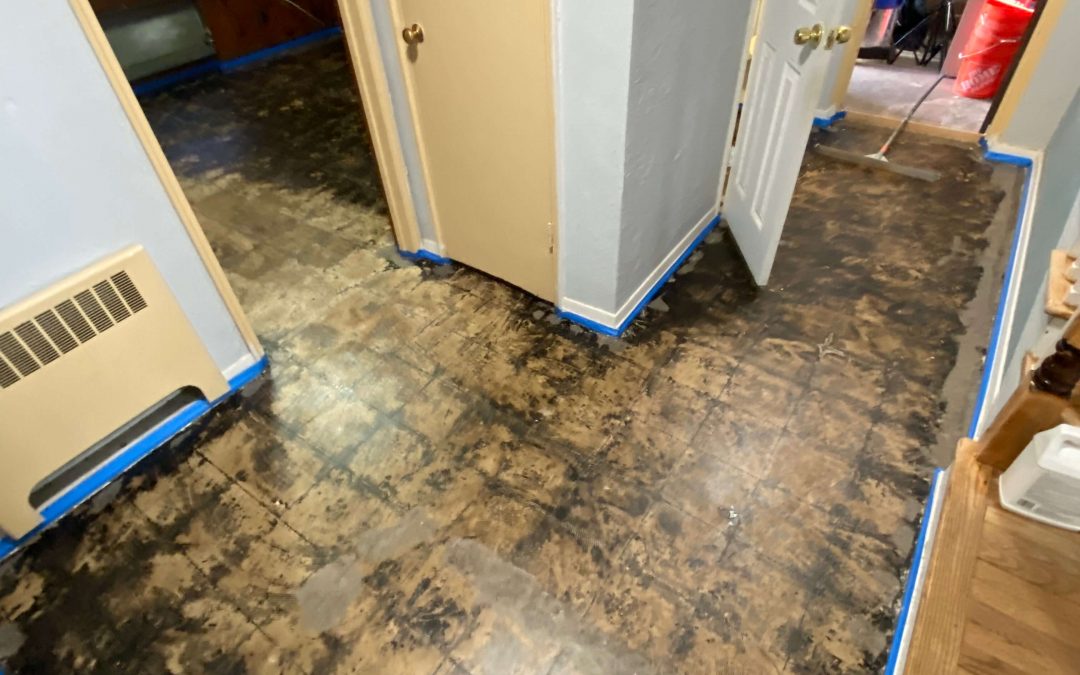 Metallic marble Edgewater NJ